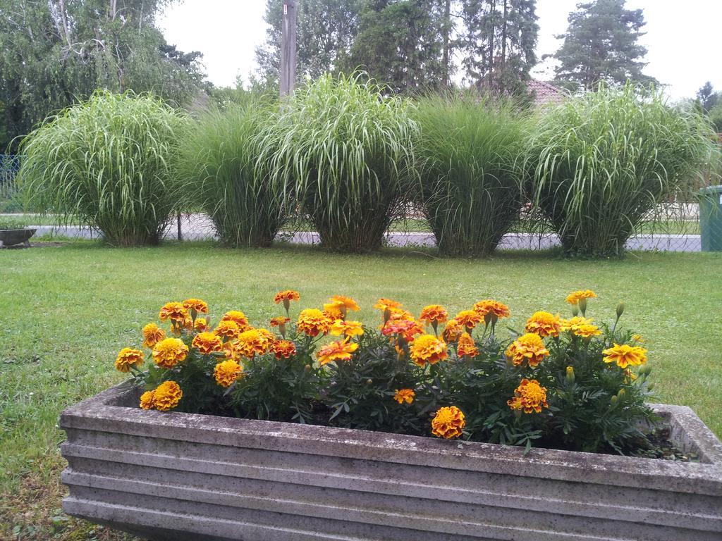 Hajas Familia Kiado Szobak Balatonmáriafürdő Extérieur photo