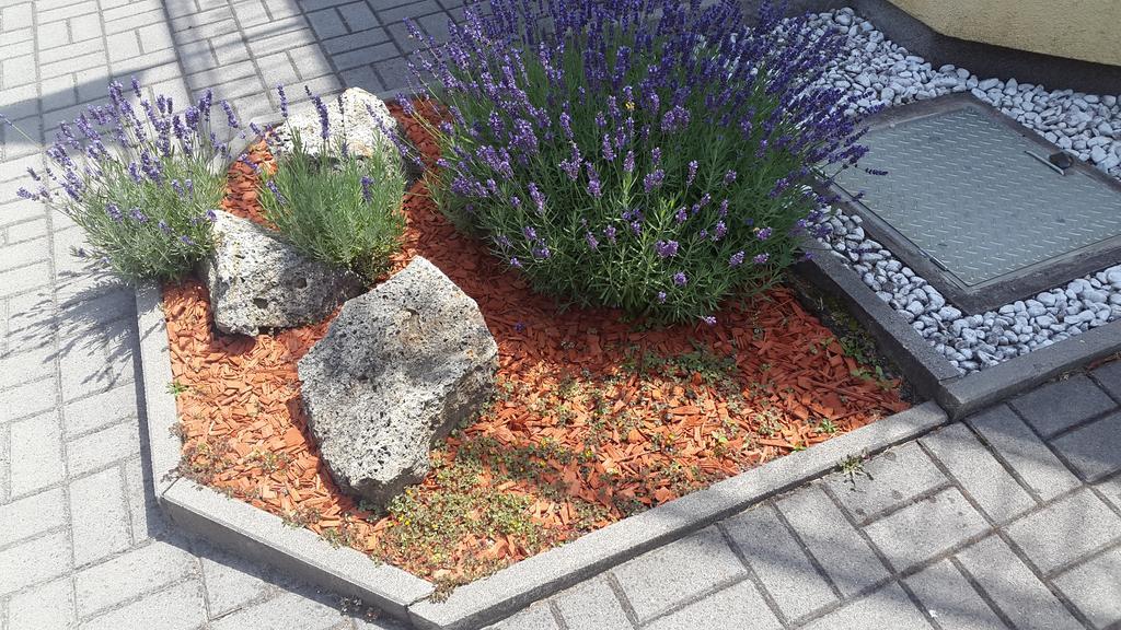 Hajas Familia Kiado Szobak Balatonmáriafürdő Extérieur photo